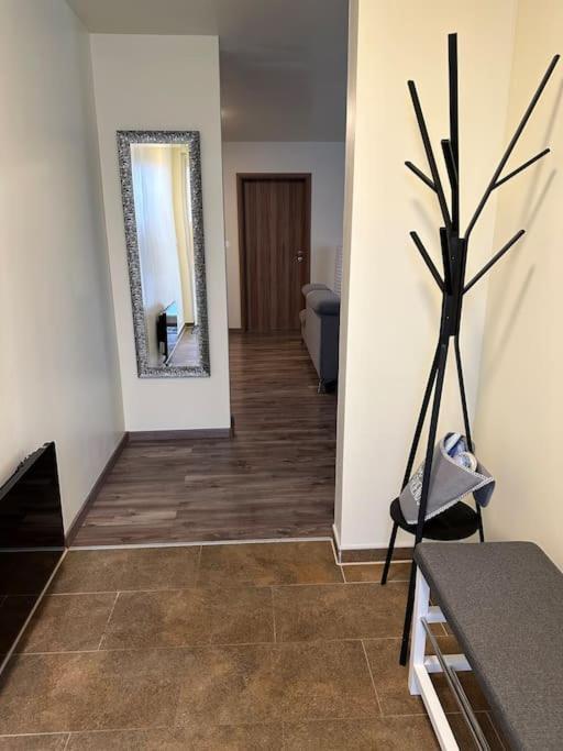 Appartement Algo Algolsheim Екстер'єр фото