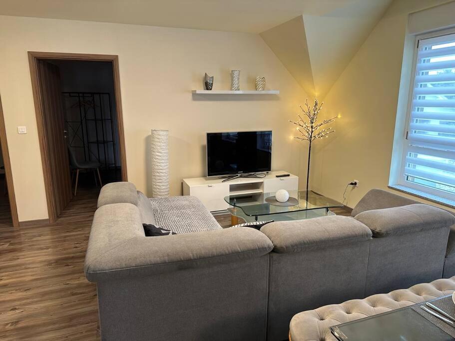 Appartement Algo Algolsheim Екстер'єр фото